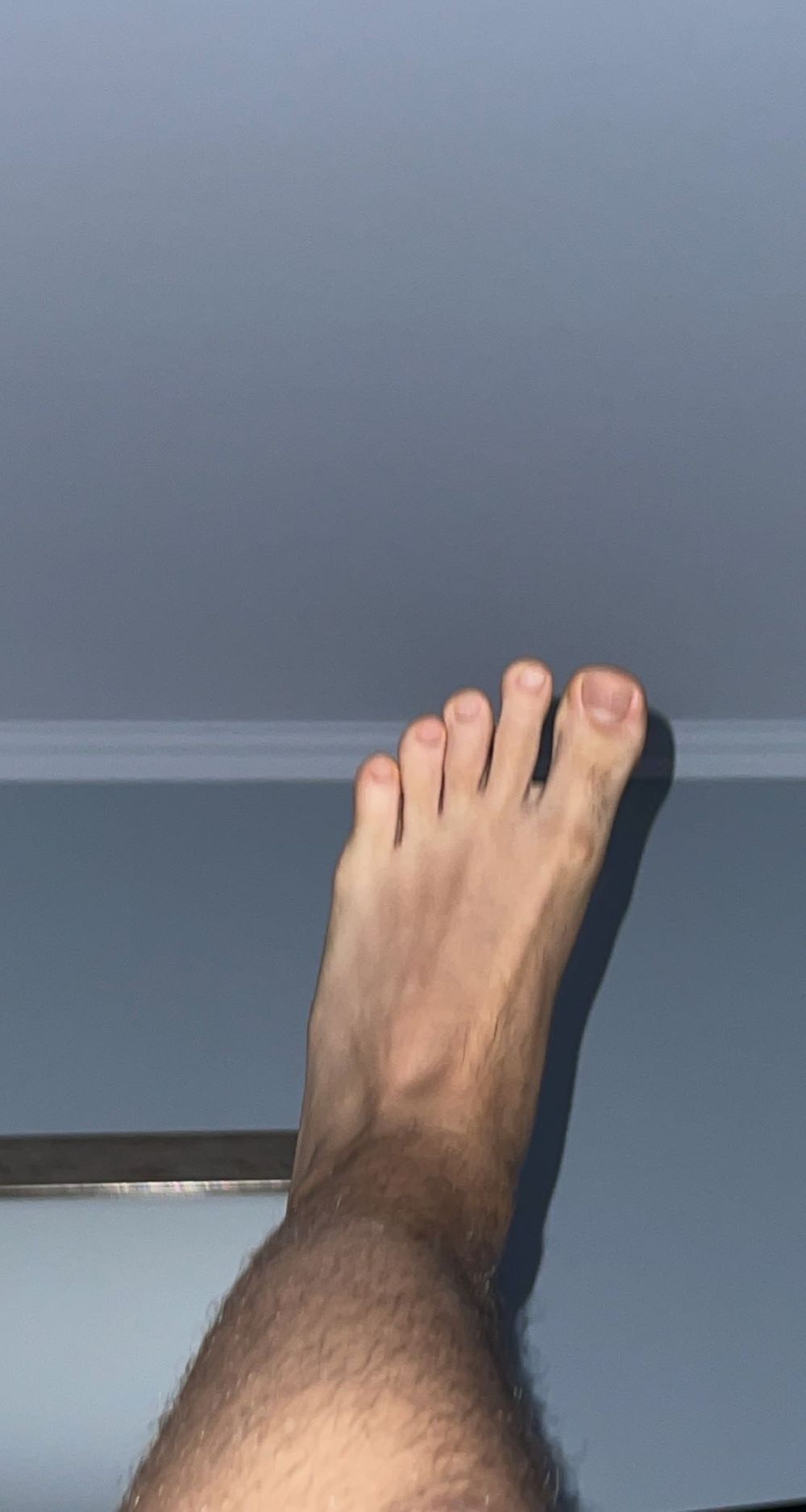 verstomas OnlyFans profile picture