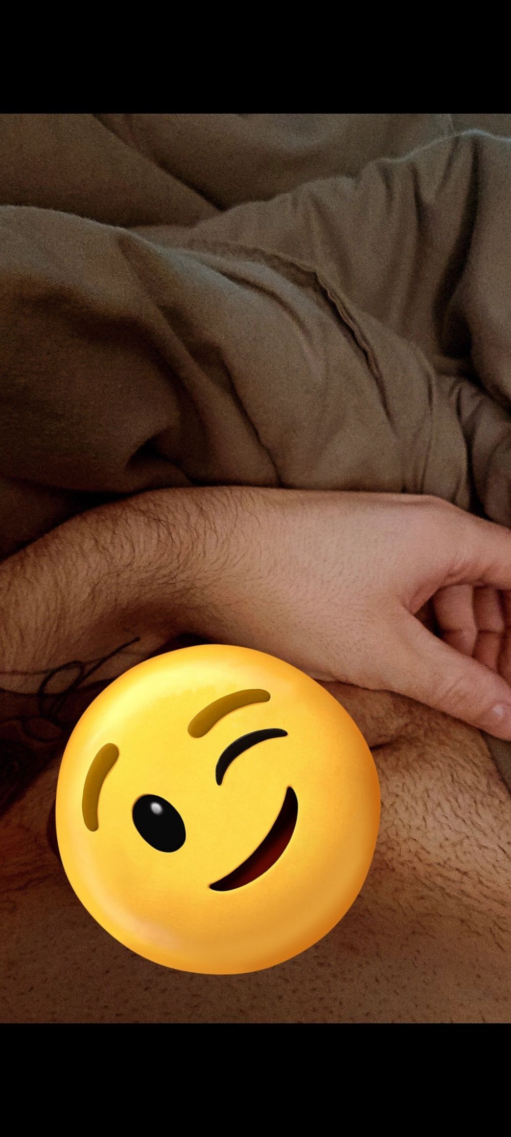 the_one.gay OnlyFans profile picture