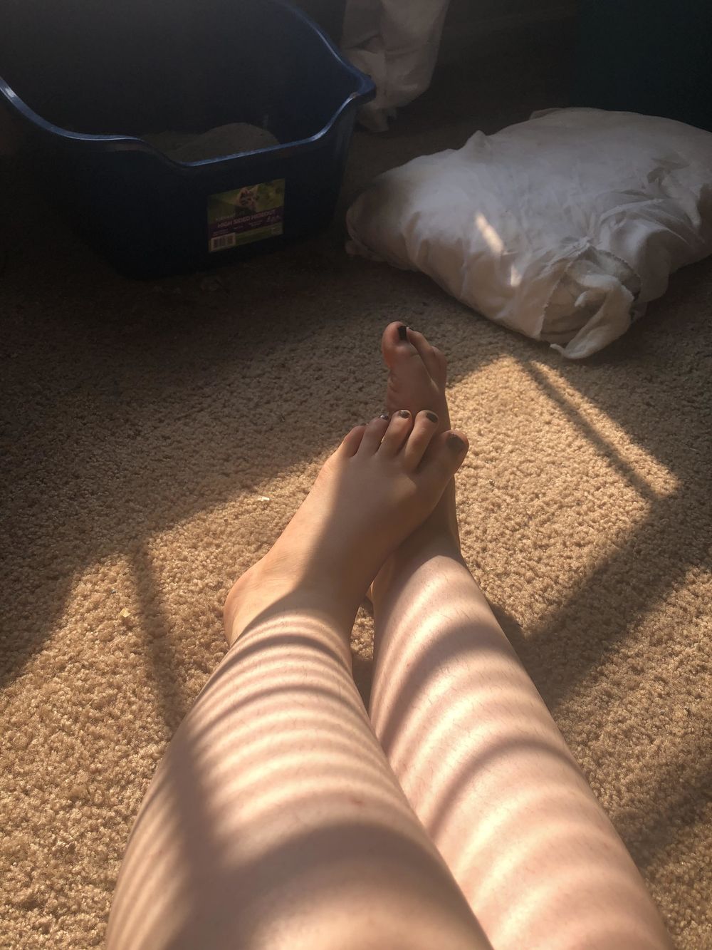 rosebarnhill47 OnlyFans profile picture