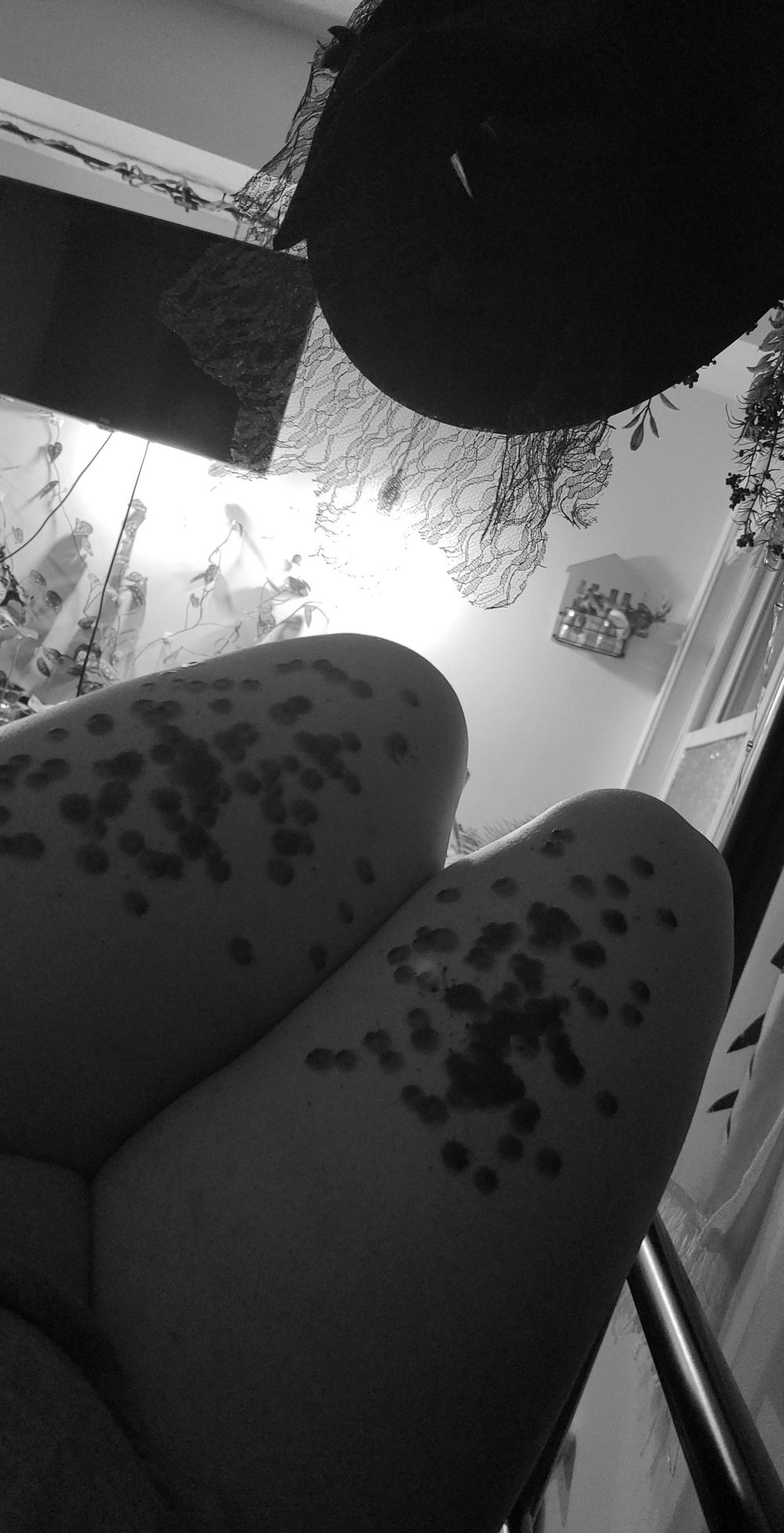 inobella OnlyFans profile picture