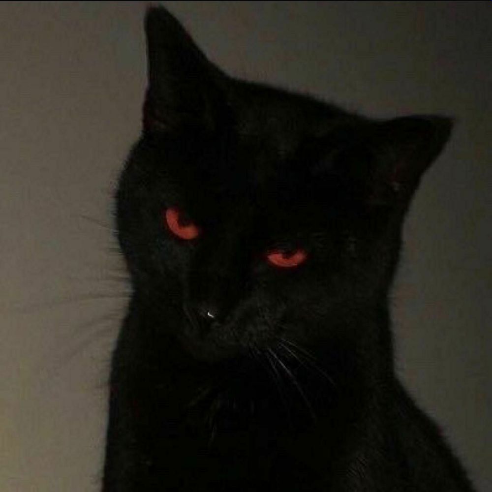elhopelessgato OnlyFans profile picture