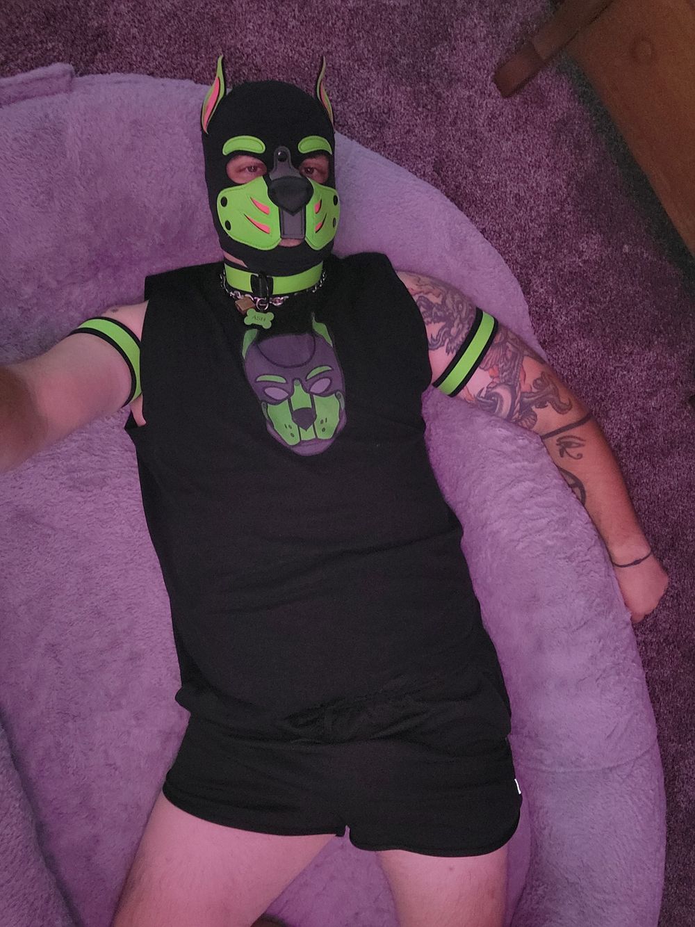 ashfoxpuppy OnlyFans profile picture
