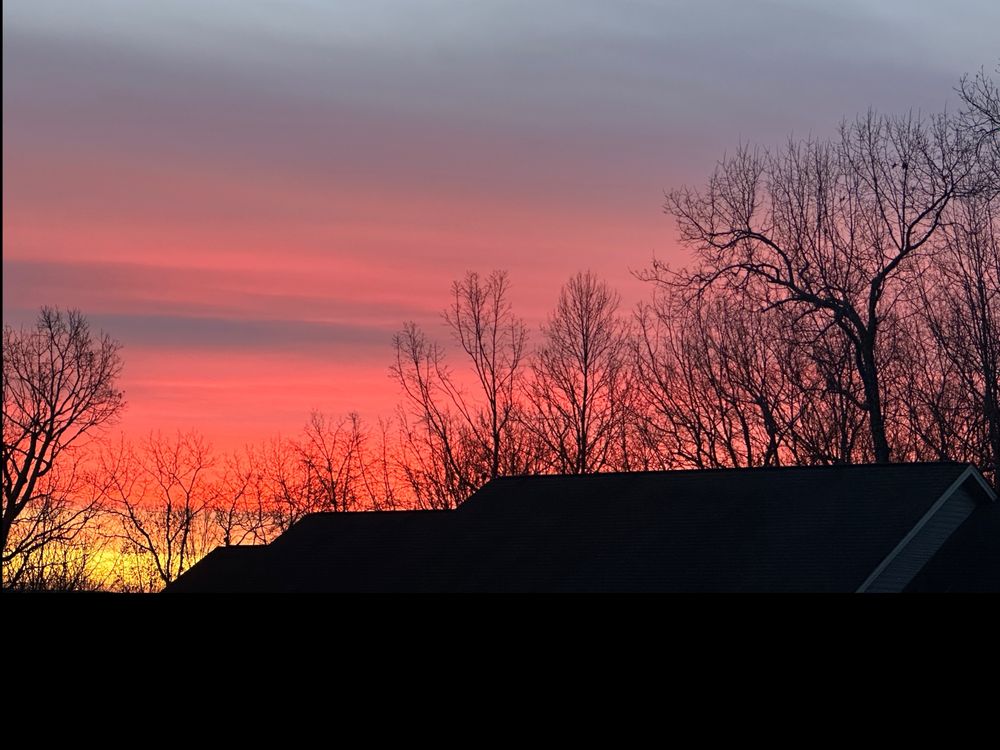 fl_queen86 OnlyFans - Free Trial - XXX Photos | FansMetrics.com