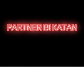 partnerbk OnlyFans profile picture