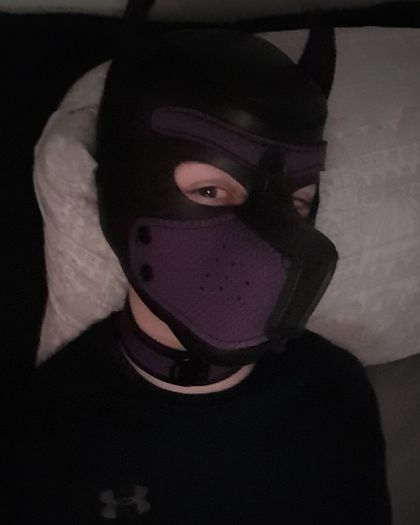 gearpup OnlyFans picture