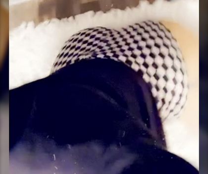 the_dreamgirl OnlyFans picture