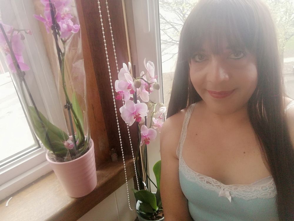 kitcat79 OnlyFans profile picture