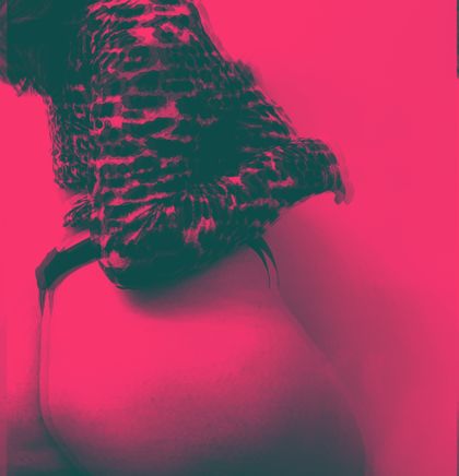lilsazonxo OnlyFans picture