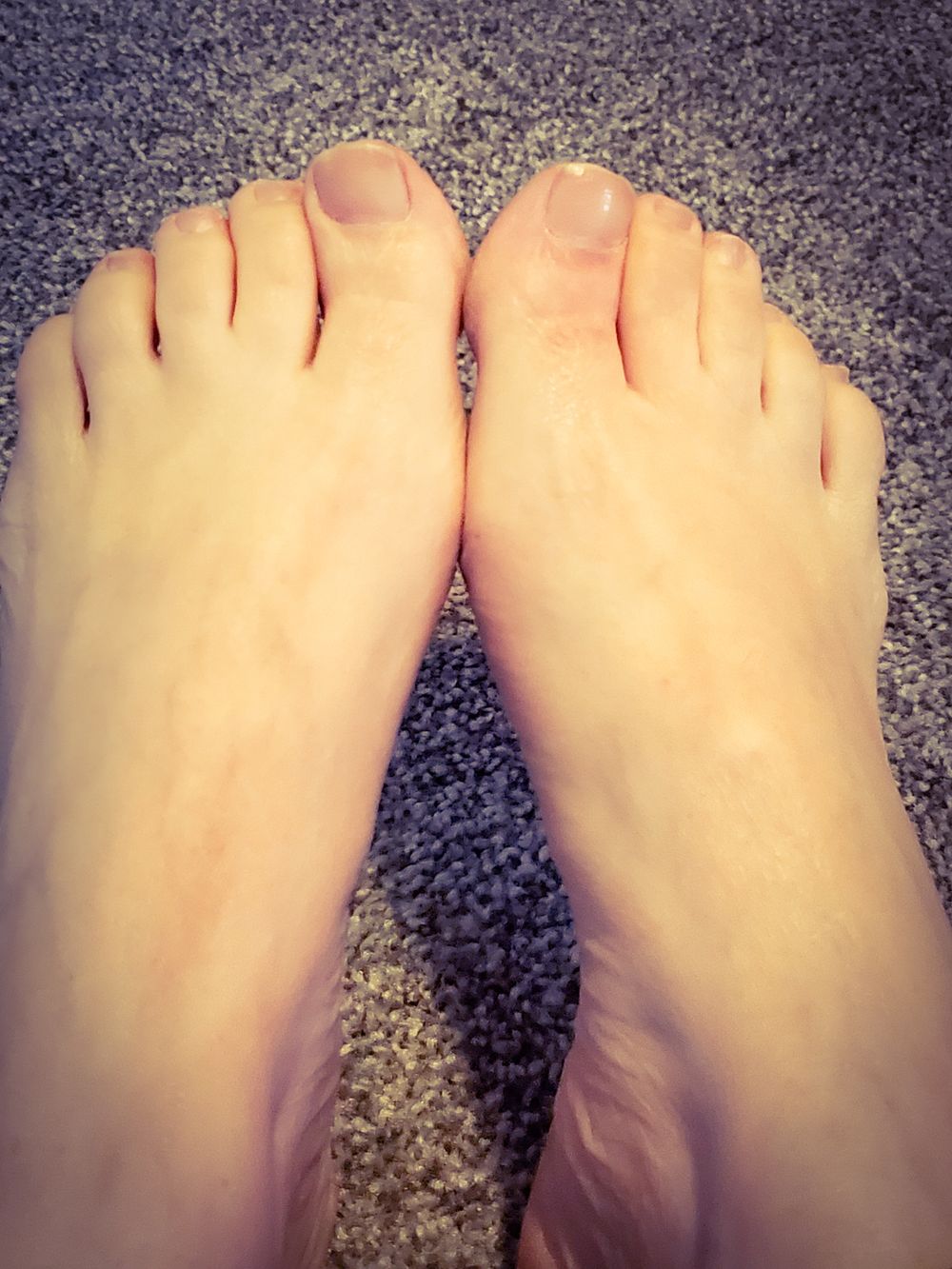 annieareola OnlyFans profile picture