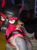 scruffpup_and_such OnlyFans picture