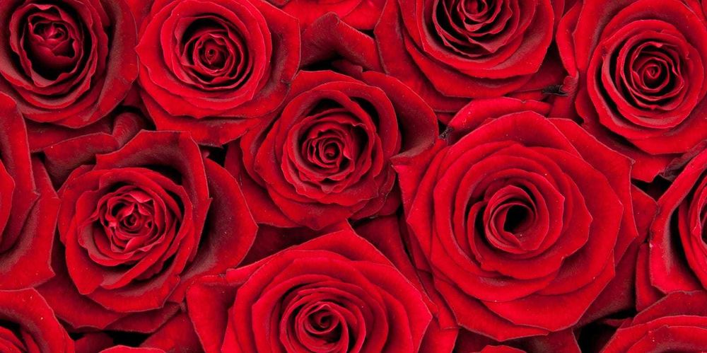 mistressscarlettrose2 OnlyFans profile picture