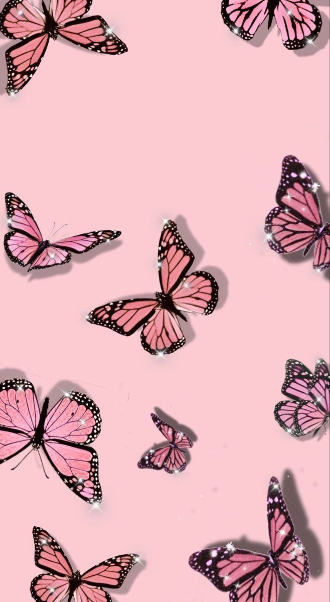 butterrrfly OnlyFans profile picture