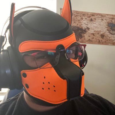 pocketxpup OnlyFans picture
