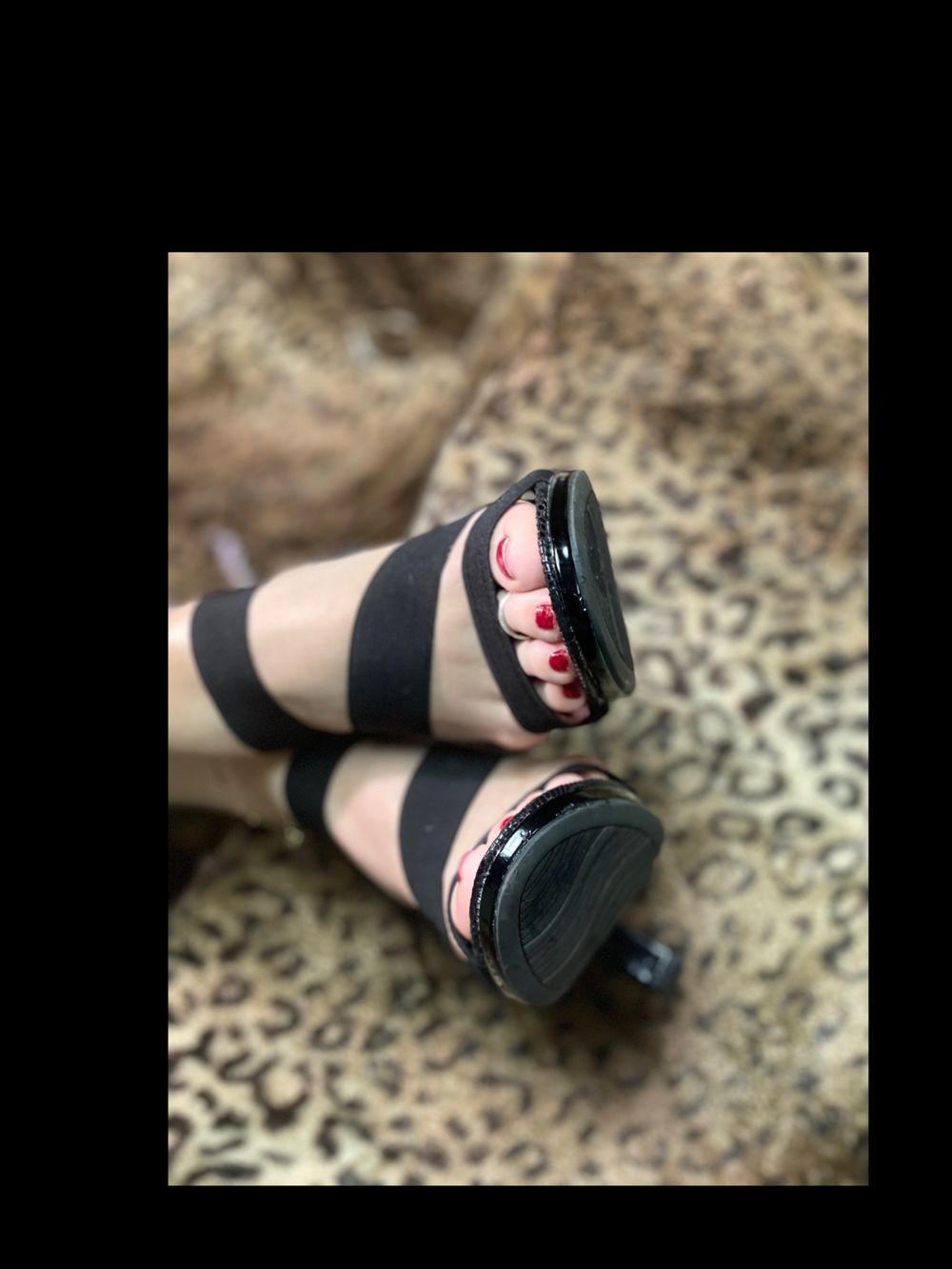 u294743531 OnlyFans profile picture