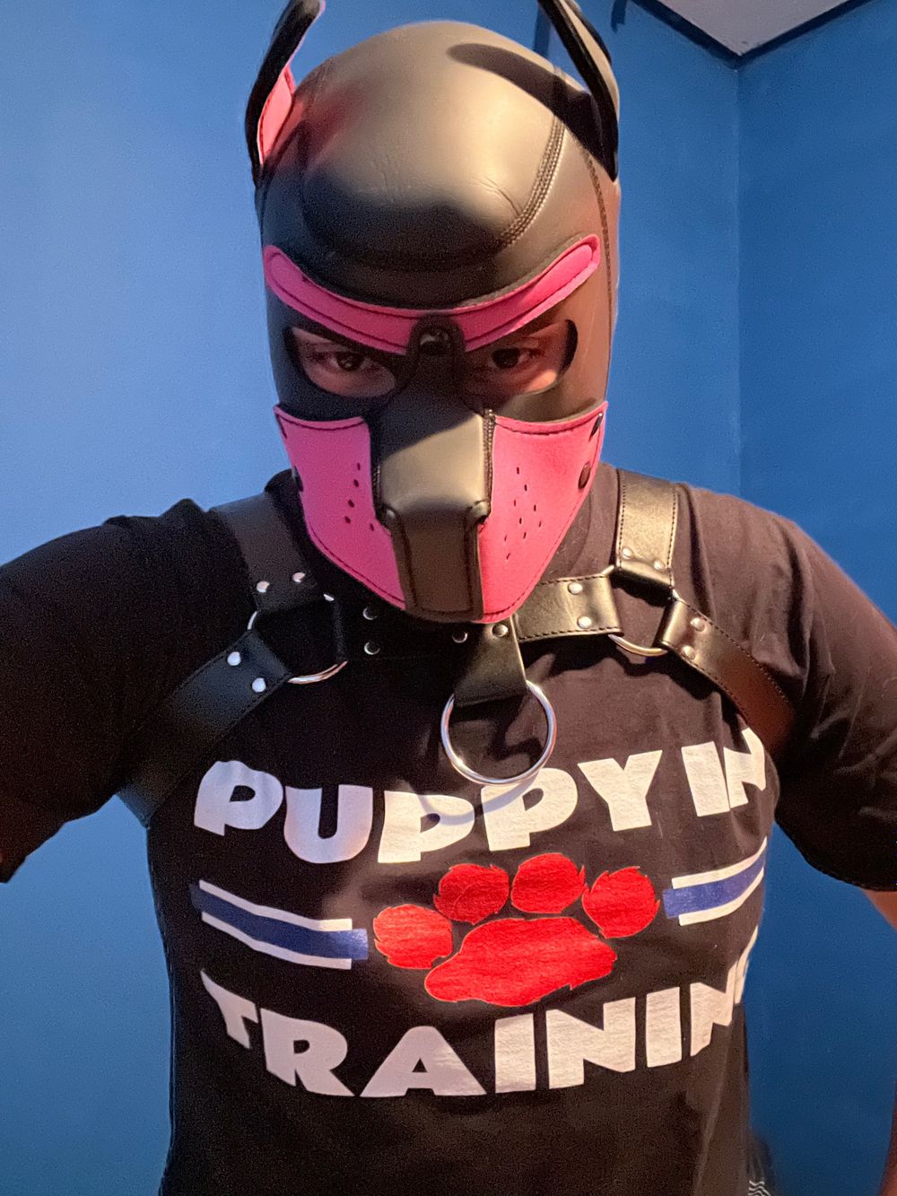lynster1 OnlyFans profile picture