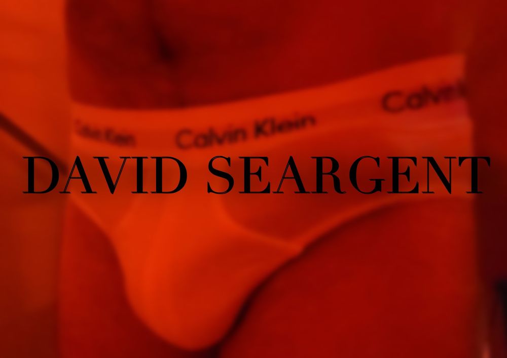 davidseargent OnlyFans profile picture