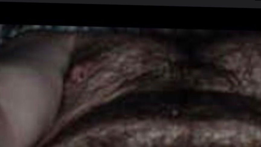 u6130981 OnlyFans profile picture