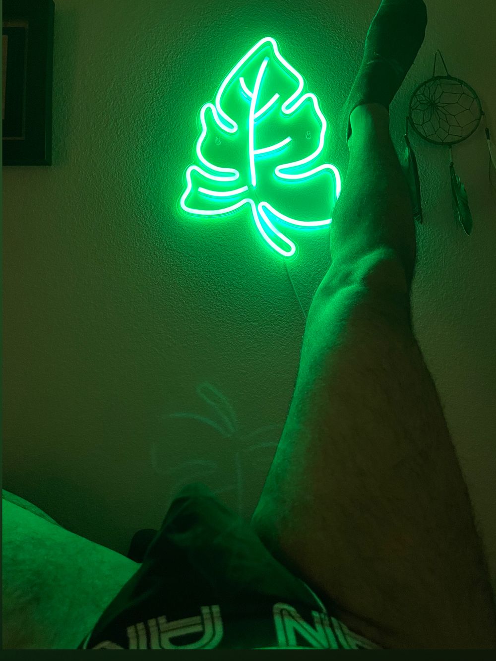 plantdaddy5309 OnlyFans profile picture