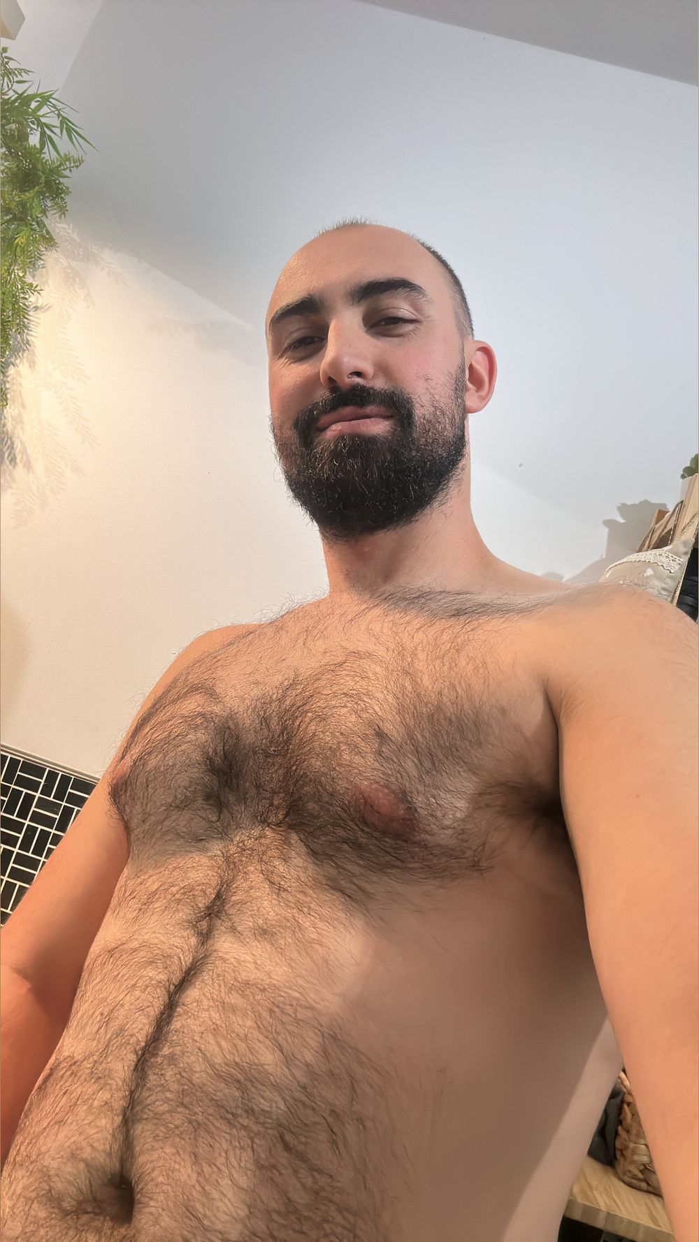 oso_pedrito OnlyFans profile picture