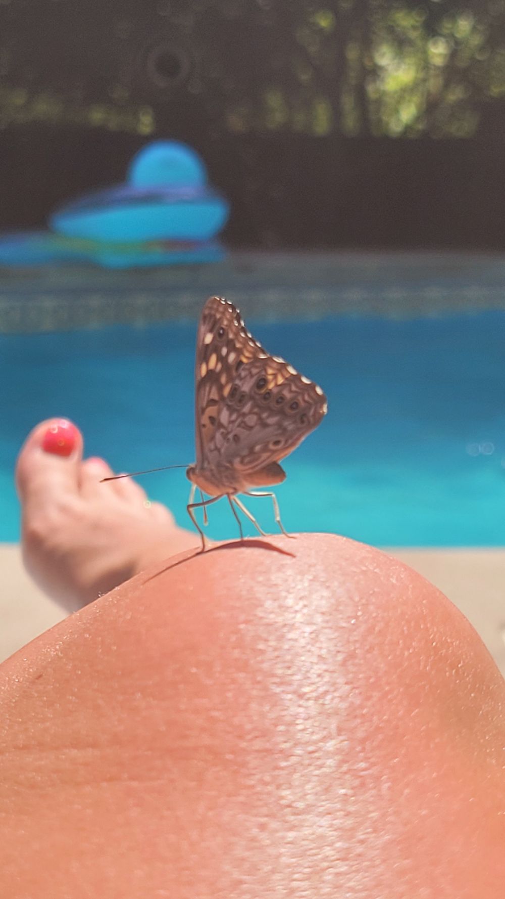 theprincessjuliette OnlyFans profile picture