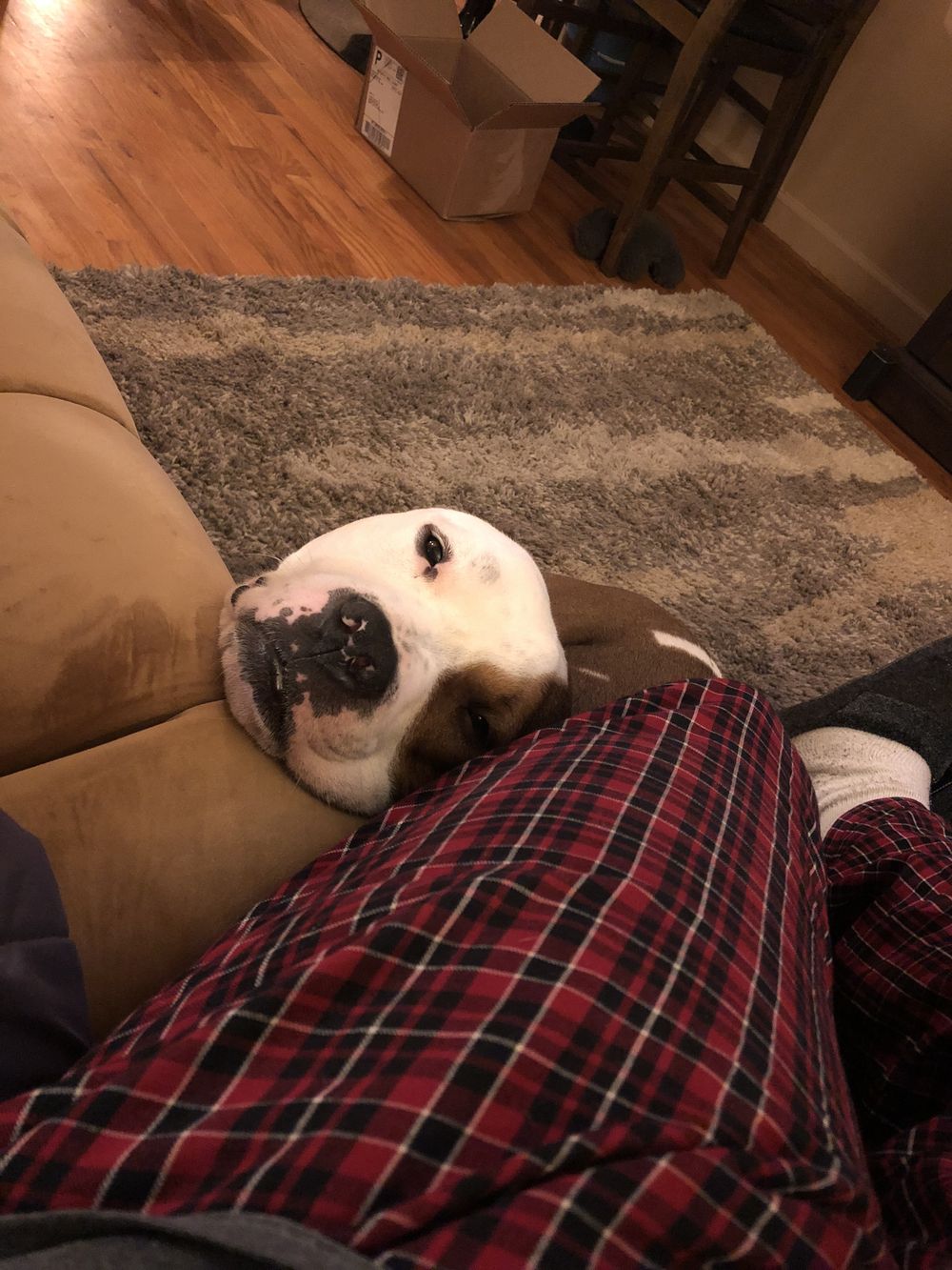 big_baby_bubbz OnlyFans profile picture