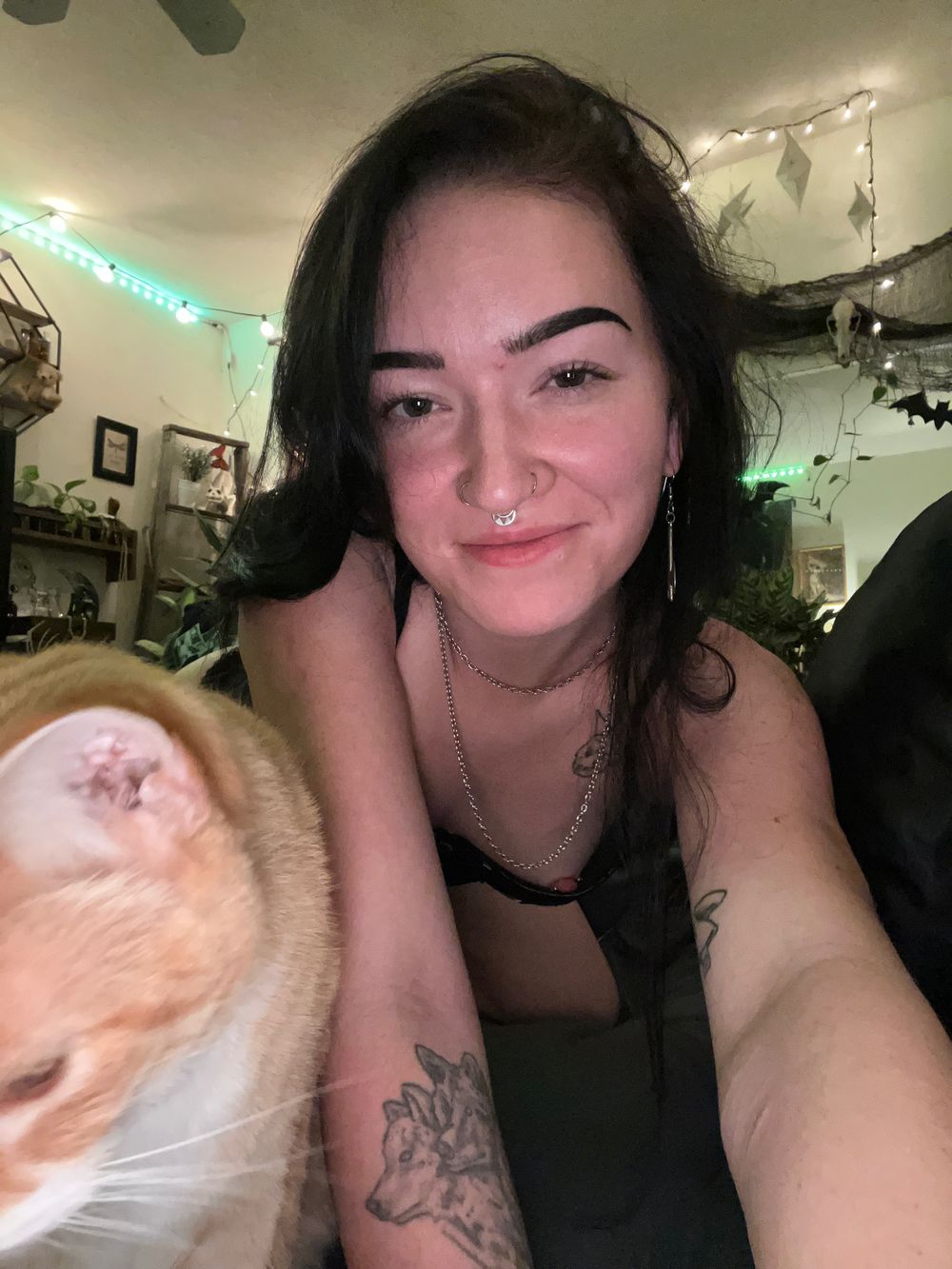 coyotebaby OnlyFans profile picture