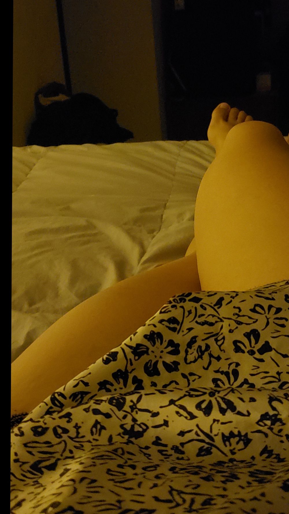 yesalu OnlyFans profile picture