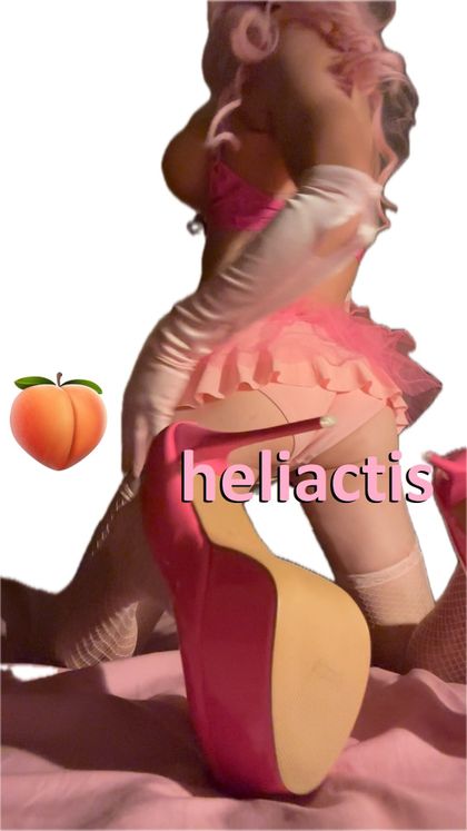heliactis OnlyFans picture