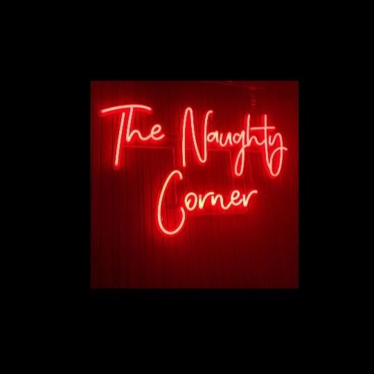 thenaughtycornerx OnlyFans profile picture