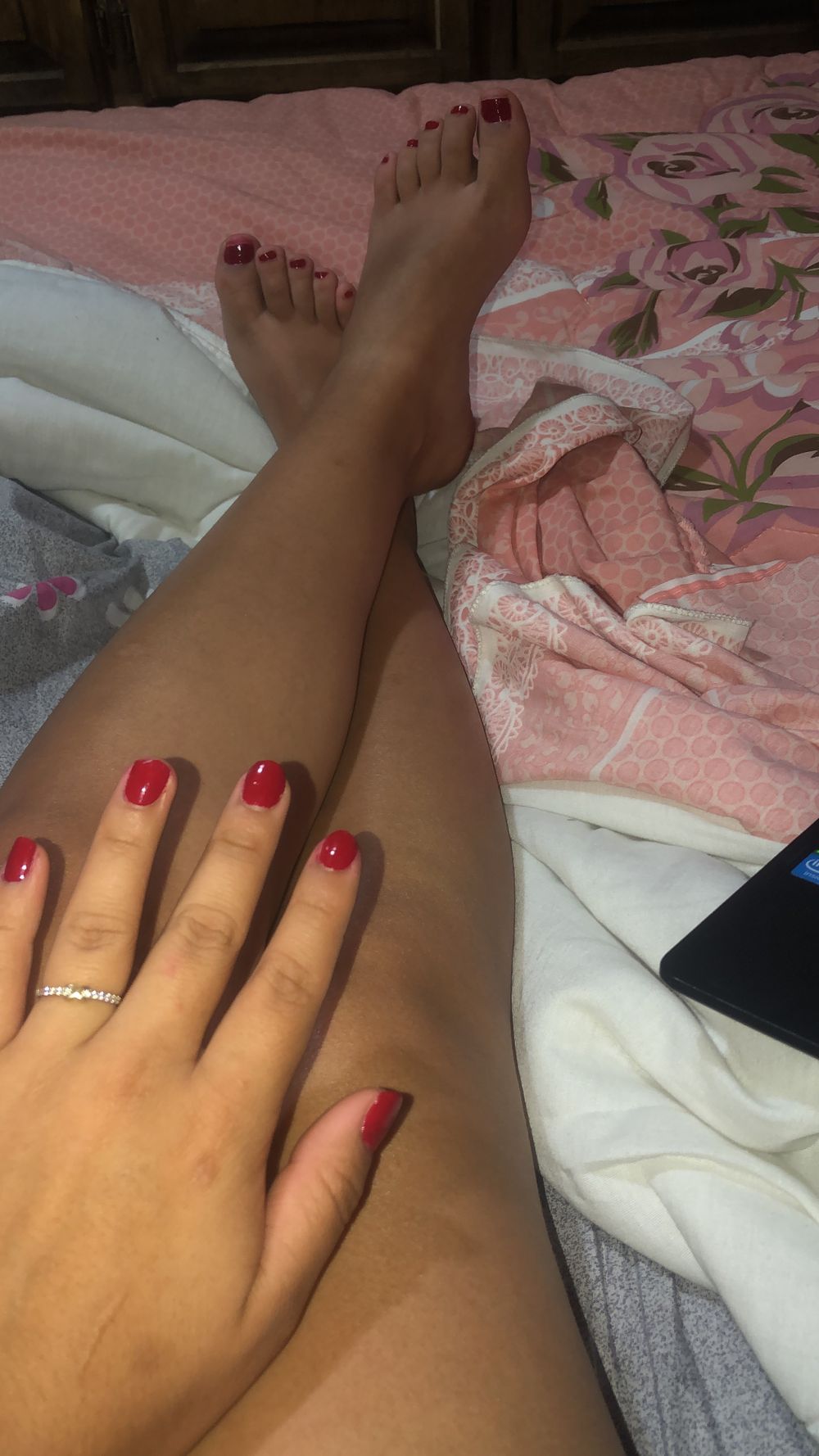 elizabe12640331 OnlyFans profile picture