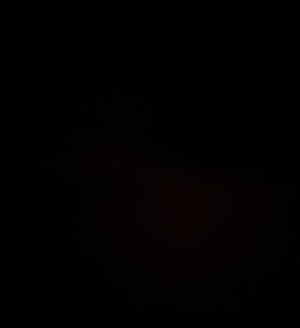 kisstrue OnlyFans profile picture