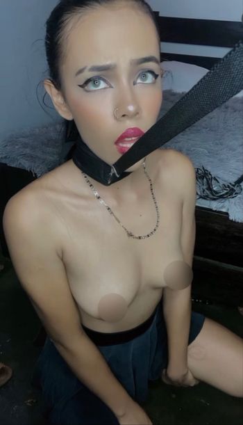 Reinaapor