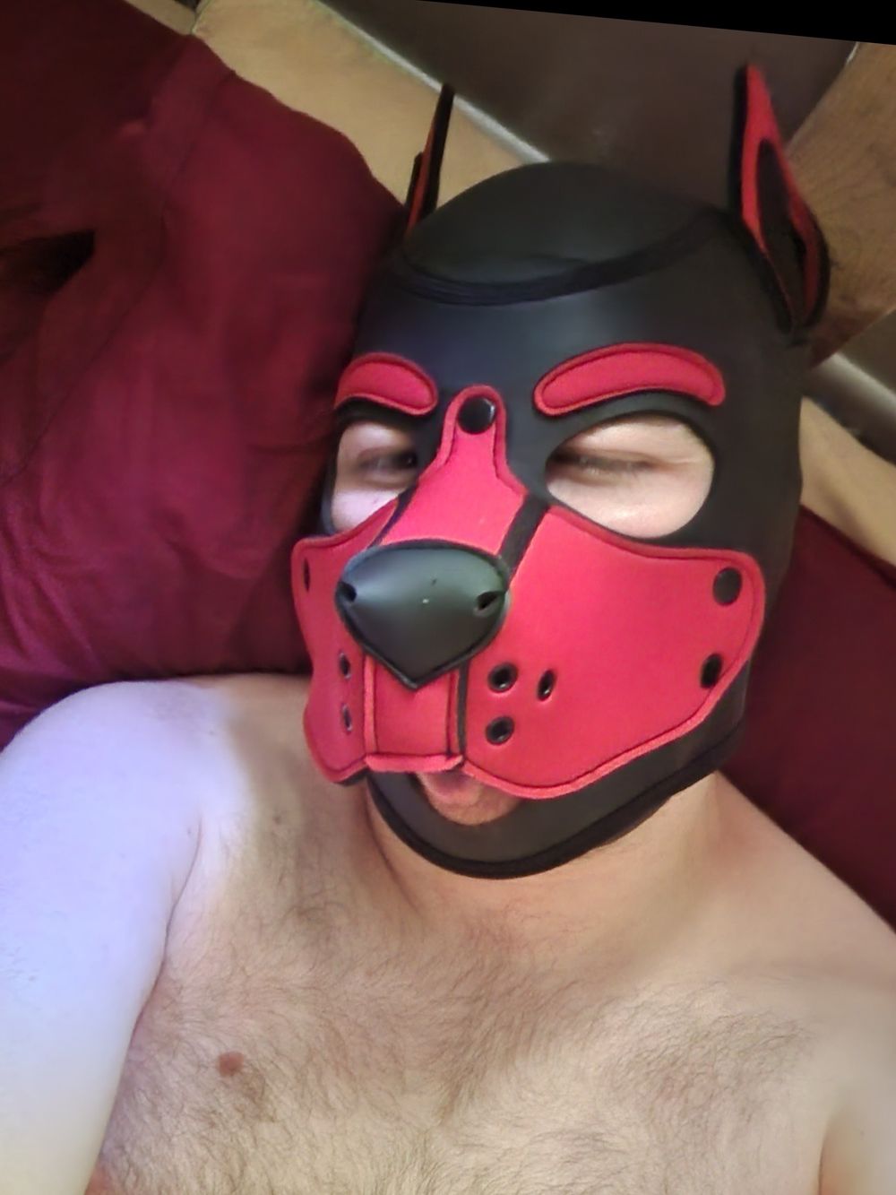 pupknyght OnlyFans profile picture