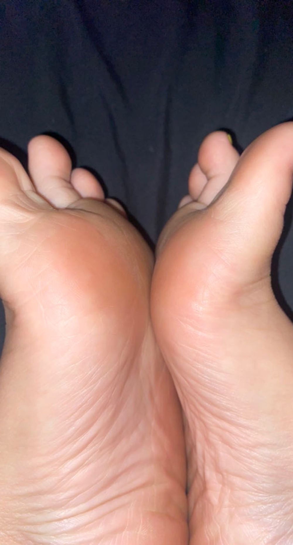 shaylacherry OnlyFans profile picture