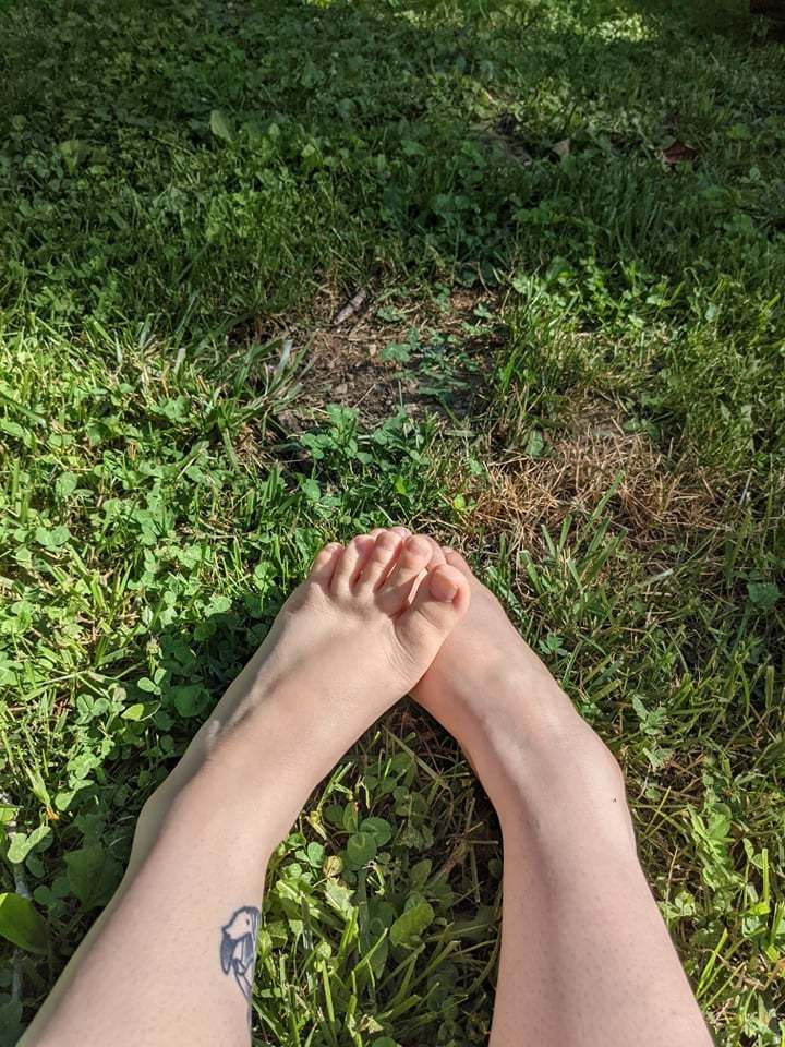 theaisaprincess OnlyFans profile picture