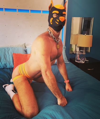 pupbuster OnlyFans picture