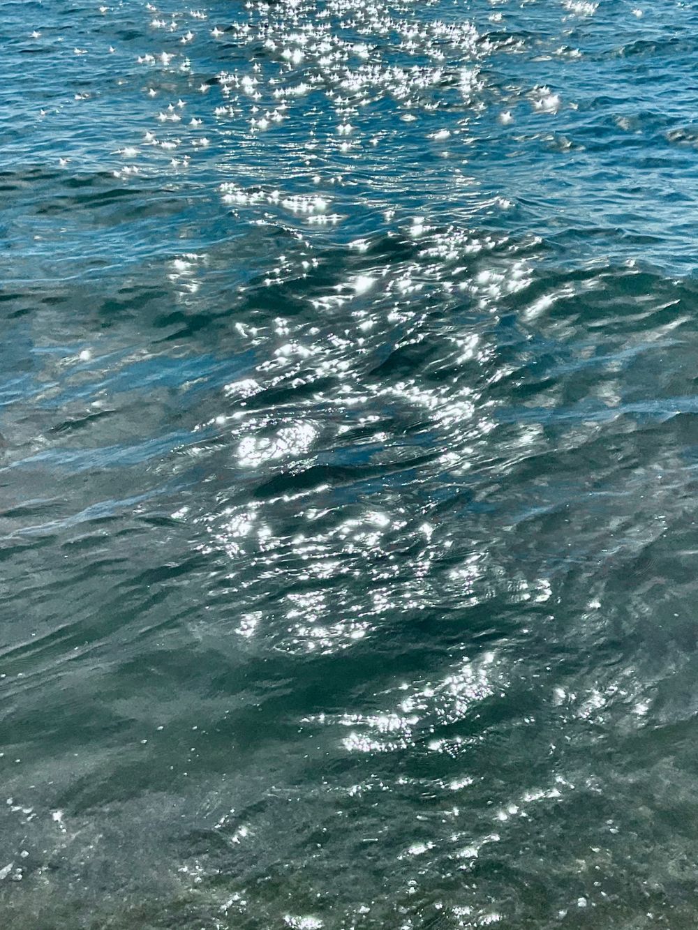 scsilver_sea OnlyFans profile picture