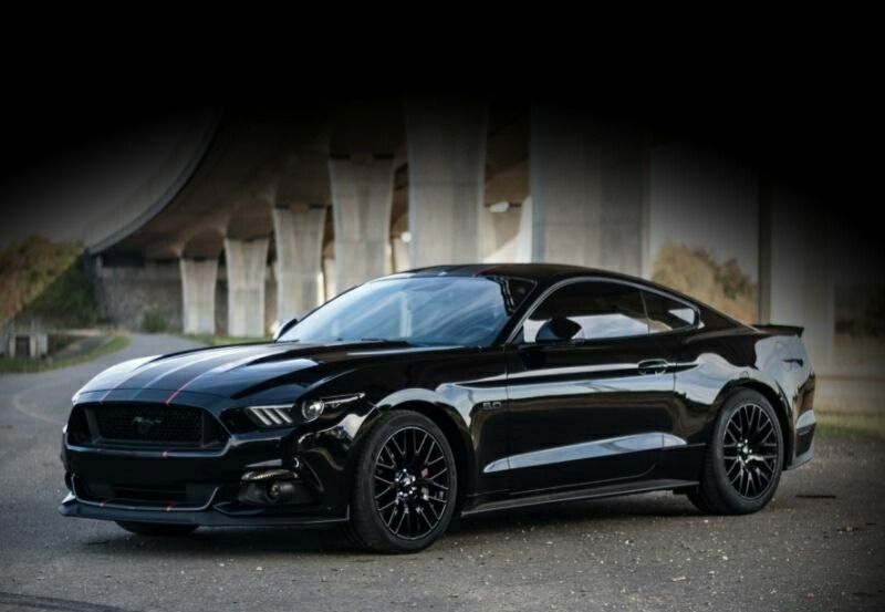 her_mustang OnlyFans profile picture