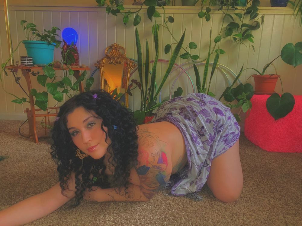 maddiekay.xofree OnlyFans profile picture