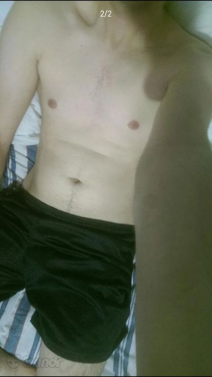 scout_pups OnlyFans picture