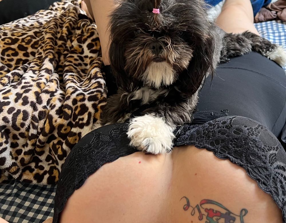 u241373281 OnlyFans profile picture