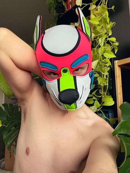 pupclover OnlyFans picture