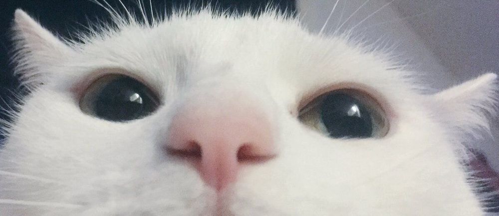 emmaaaah OnlyFans profile picture