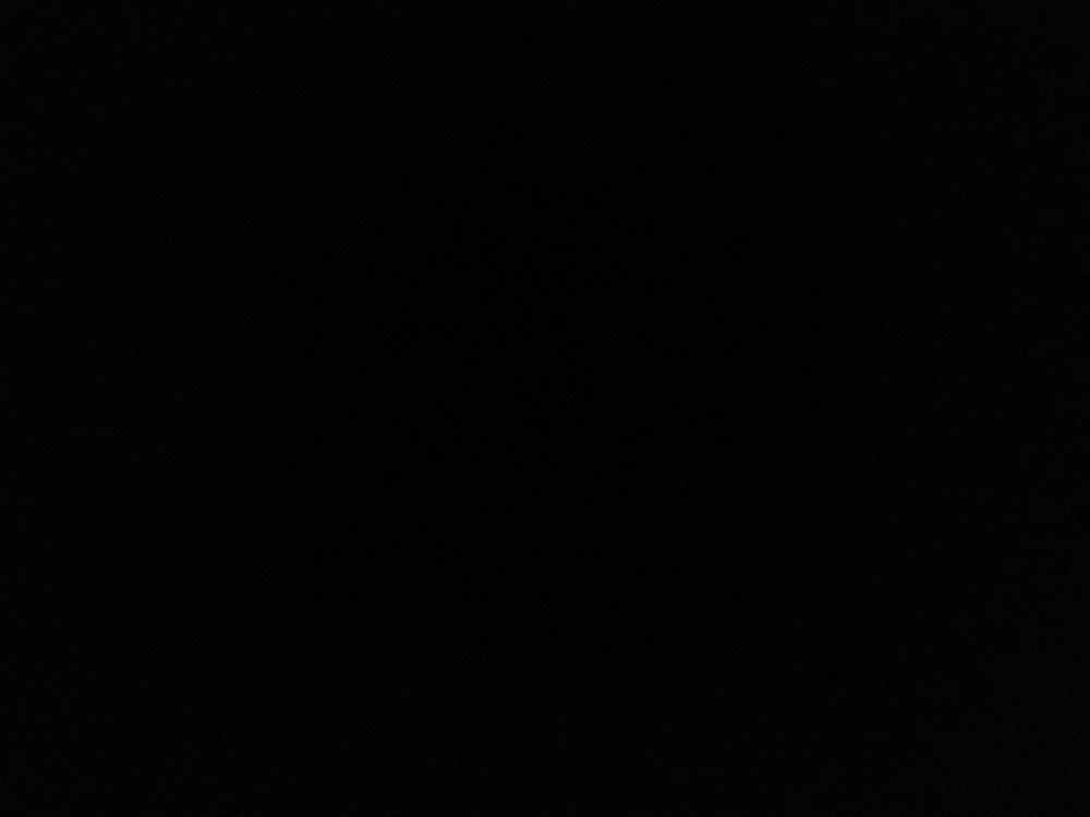 slanginforyou OnlyFans profile picture