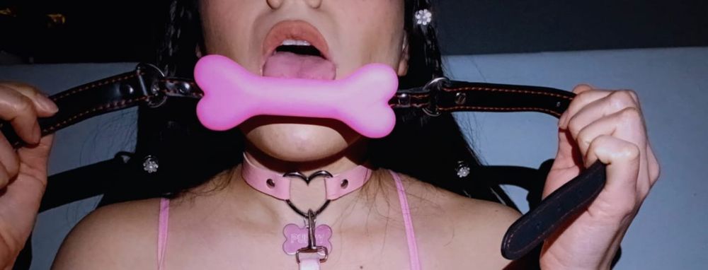 prettybunny23 OnlyFans profile picture