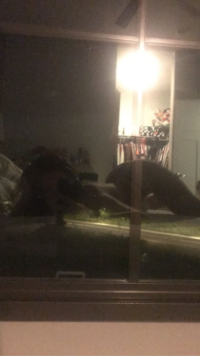 kittenfatale OnlyFans profile picture