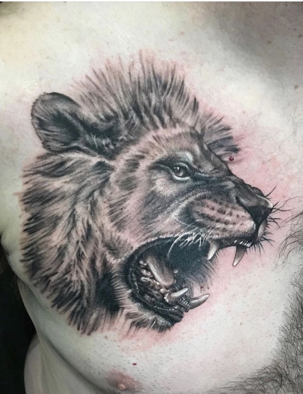 milehighzj OnlyFans profile picture