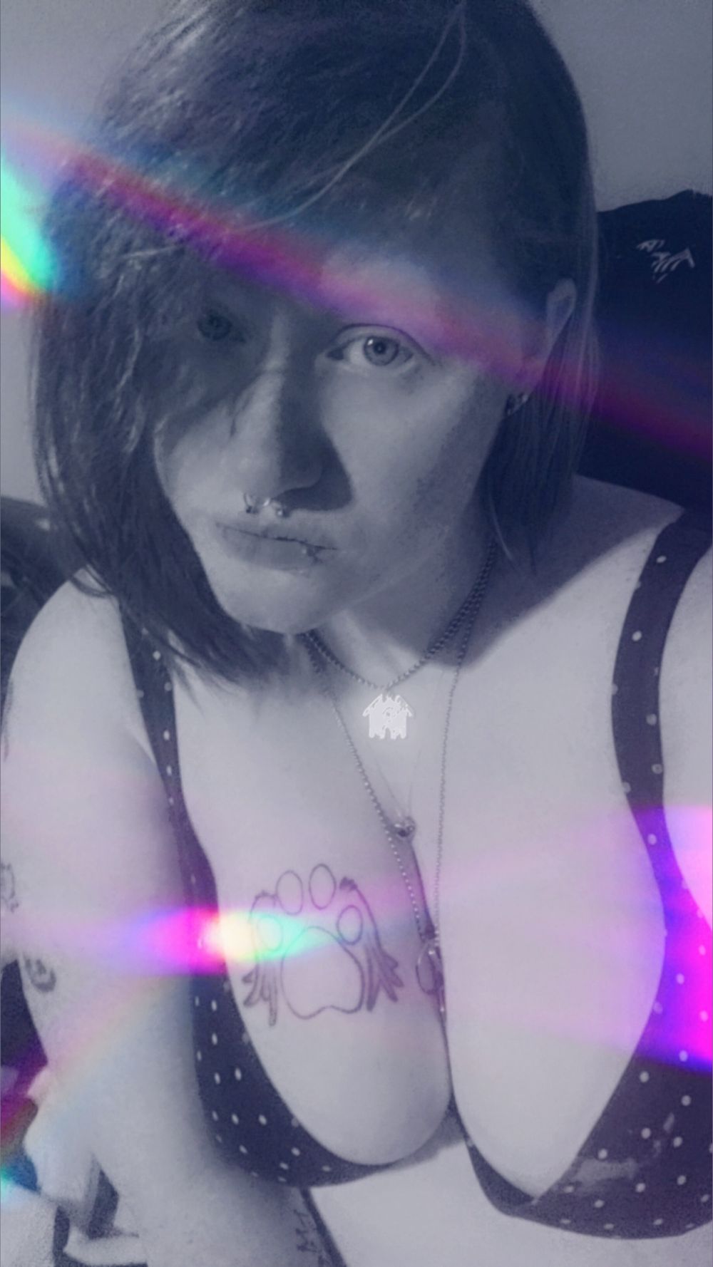wolflover92 OnlyFans profile picture