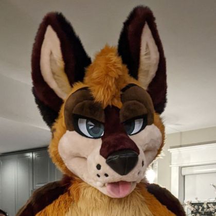 levisheppy OnlyFans picture