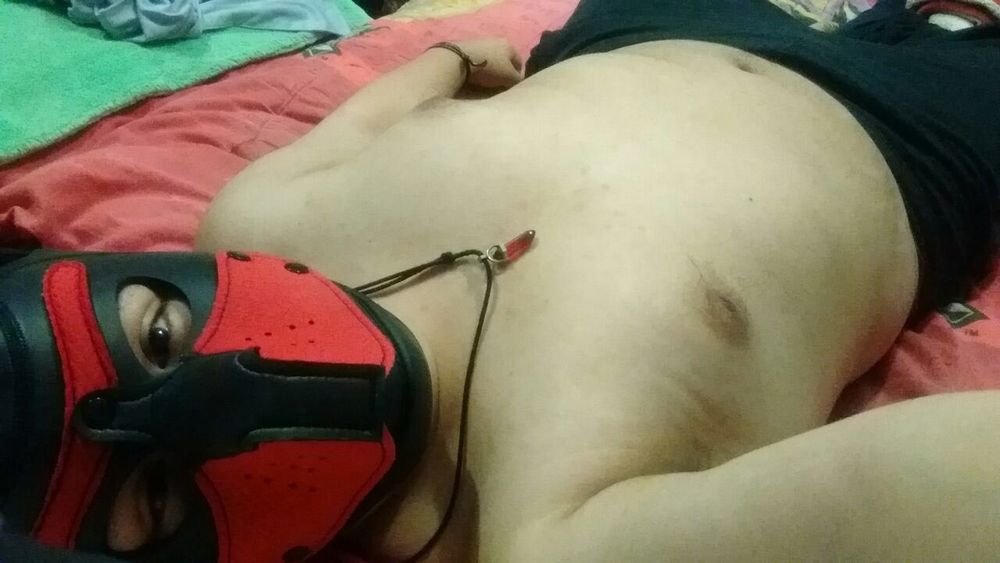 busterkludd23 OnlyFans profile picture